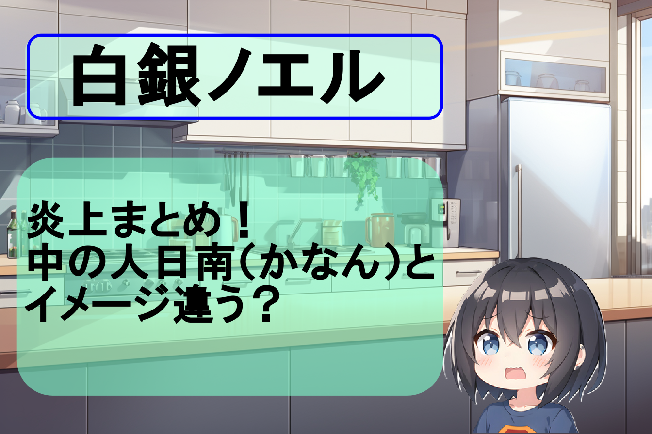 白銀ノエルの炎上まとめ!中の人日南(かなん)とイメージが違いすぎてショック!? - BLOOMのインフルエンサー辞典